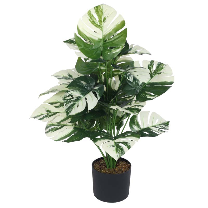 Faux Lush White Monstera Plant With Black Plastic Pot - 2.6 Feet media 4