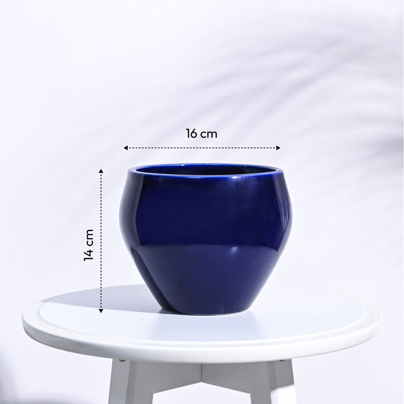 Ugaoo Apple Dark Blue Ceramic Pot media 6