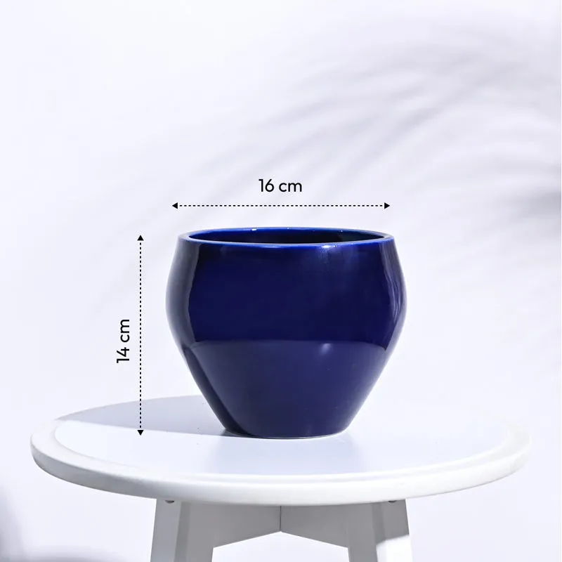 Ugaoo Apple Dark Blue Ceramic Pot media 6