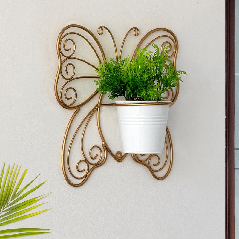 Titli Ima Wall Planter media 5