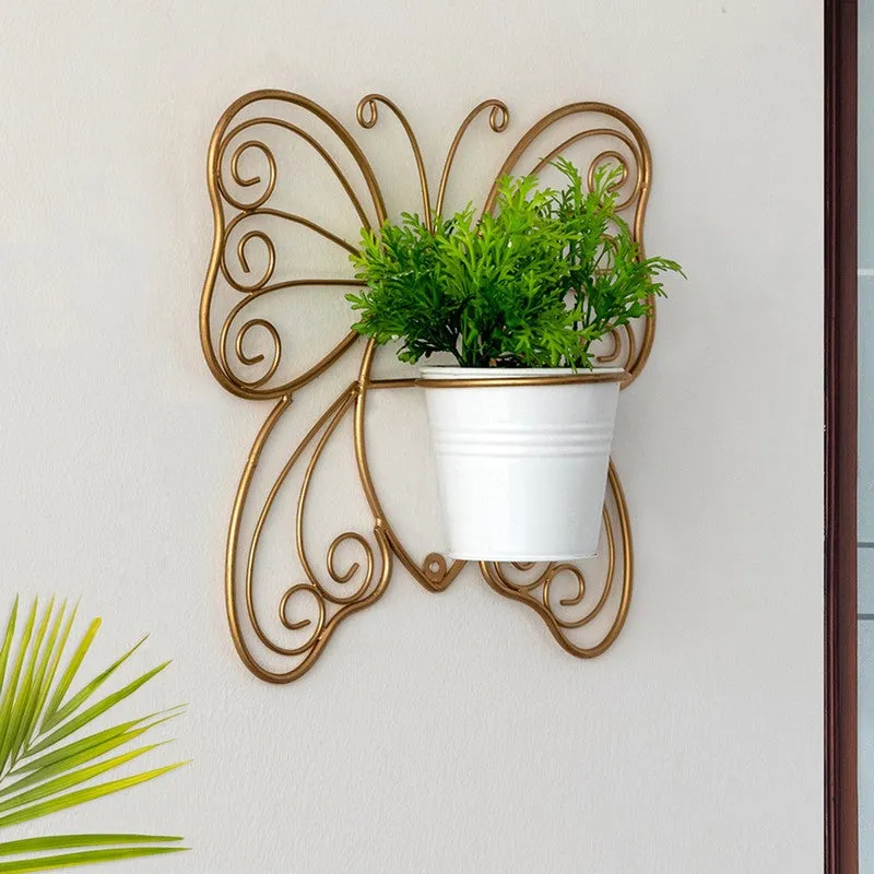 Titli Ima Wall Planter media 5