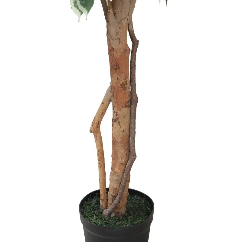 Urban Jungle Artifcial Plant With Black Plastic Pot - 7.4 ft media 7