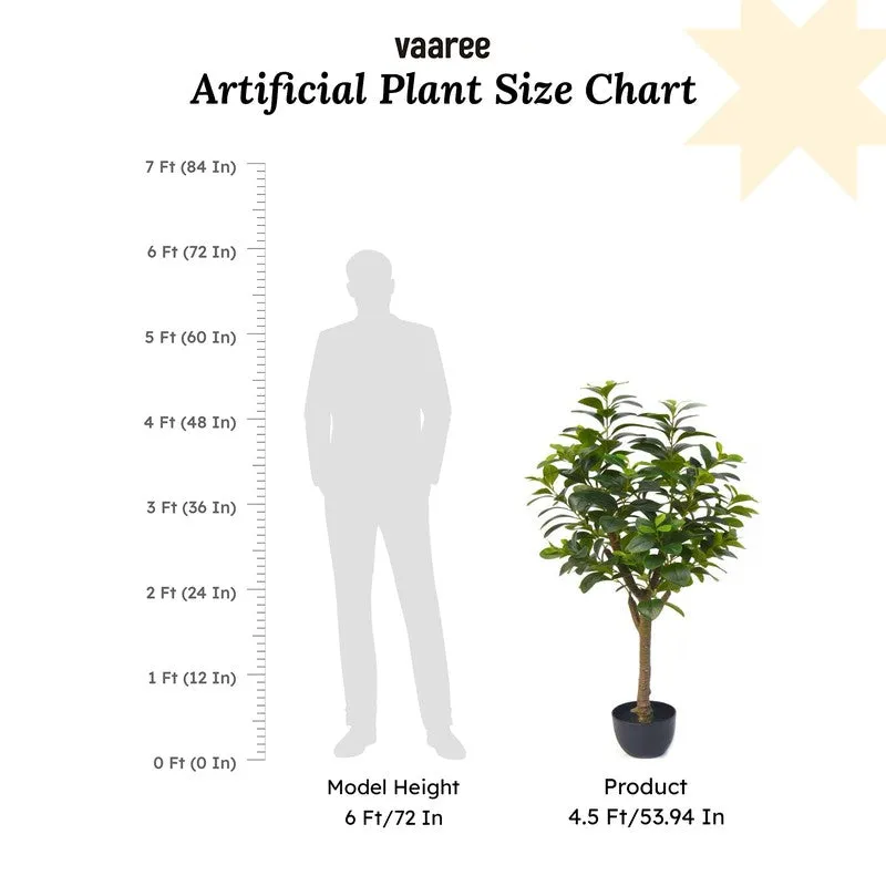 EverGreen Luxe Artificial Indoor Plant Without Pot - 4.5 Feet media 9