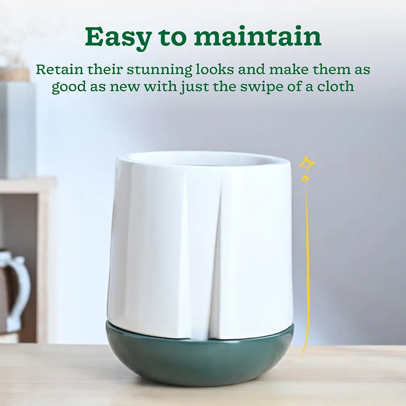 Ugaoo Duke of Drainage Ceramic Planter - White & Green media 4