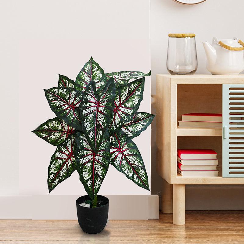 Faux Everlasting Tropical Caladium Plant With Black Plastic Pot - 79 cm (2.6 ft) media 3