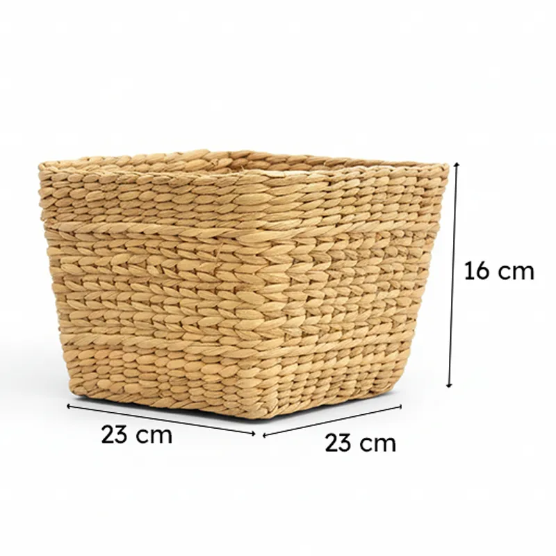 Ugaoo Seagrass Seagrass Planter - 21 CM media 7