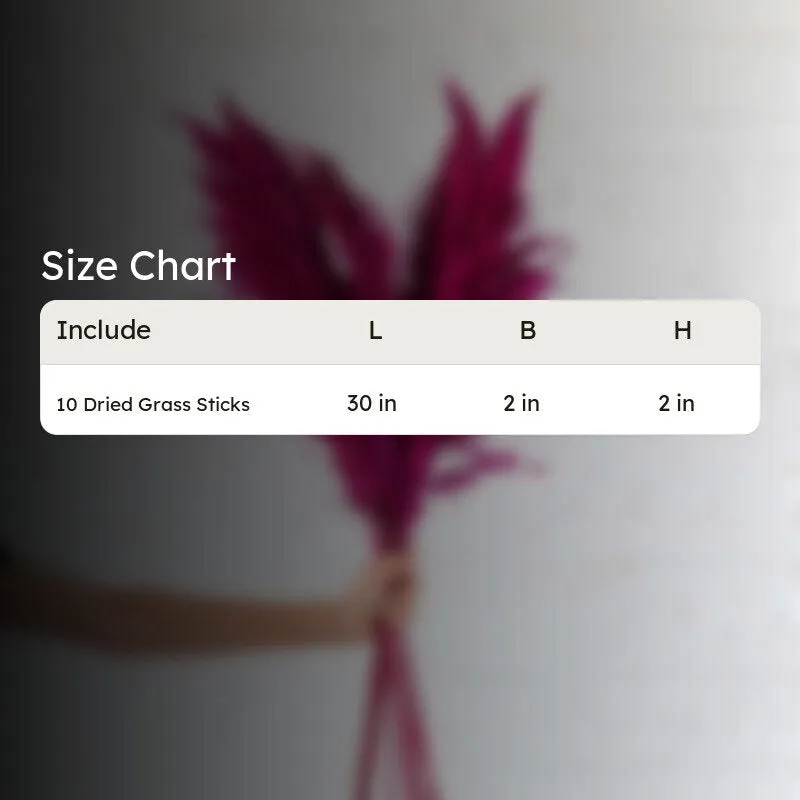 Sittora Pampas Stick (Wine) - Set Of Ten media 5