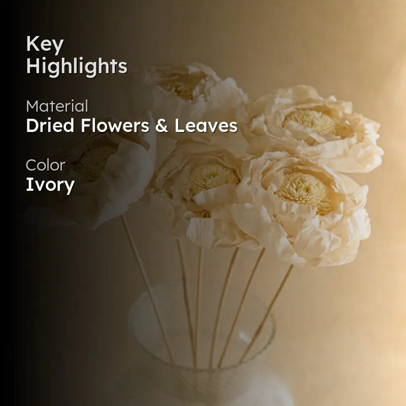 Natural Peony Handmade Dried Artificial Flower - Set Of Five media 2