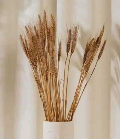 Natural Fiber