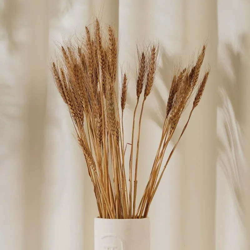 (Brown) Dried Wheat (60 cms) - Set Of Twenty Five Stems media 1