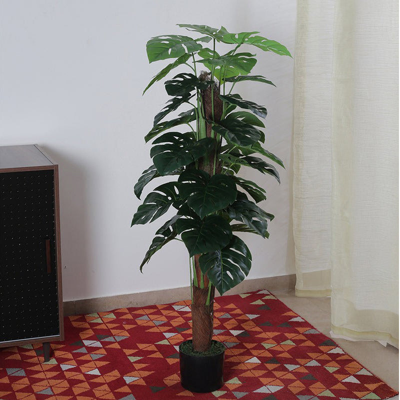 Faux Pola Monstera Plant With Black Plastic Pot - 2.95 ft media 3