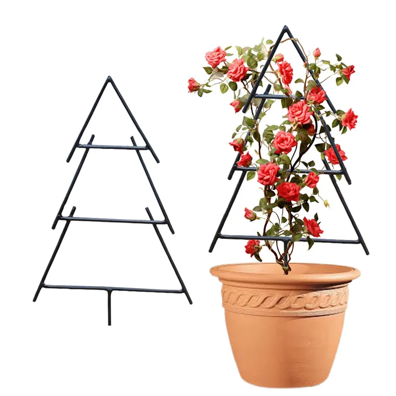 Sleek Pine Trellis - Black media 7