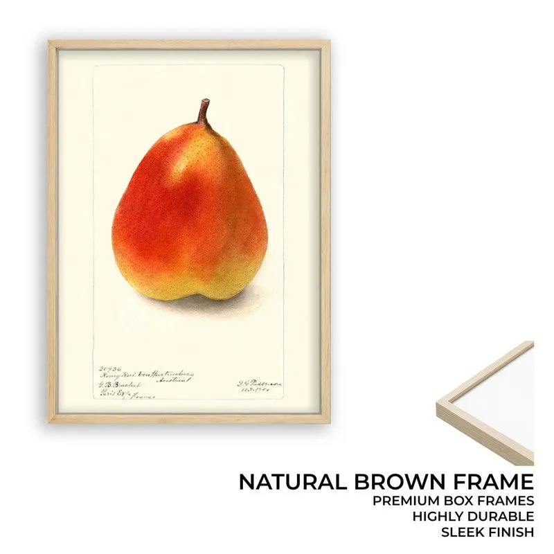 FruitPunch Archival Canvas Wall Art - Brown media 9