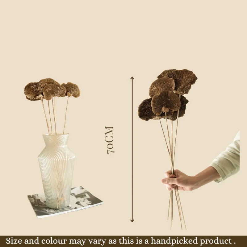 Natural Sponge Mushroom Bunch - Set Of Five media 4
