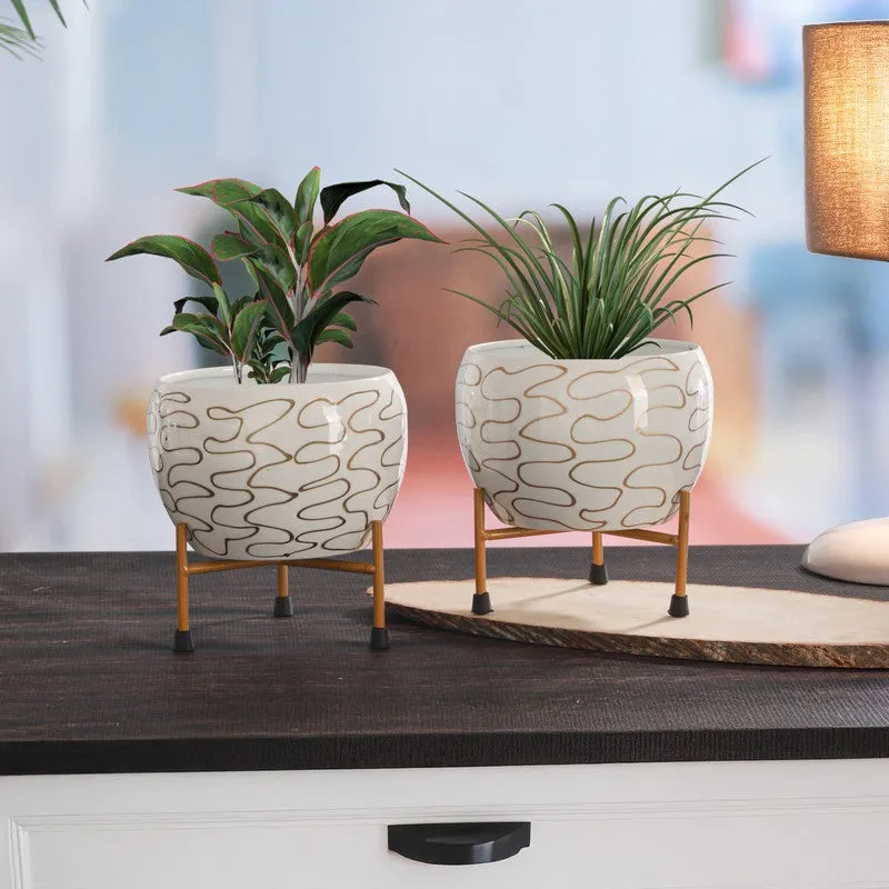 Nature Root Metal Planter with Stand - White media 4
