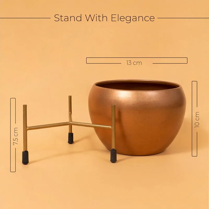 Kyari Therophyte Metal Planter With Stand media 5