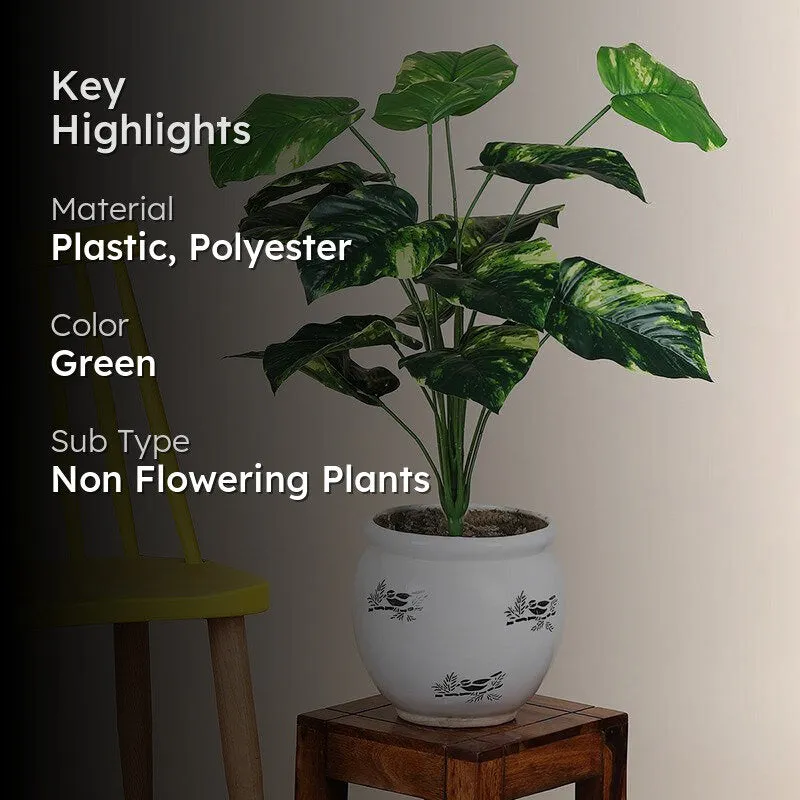 Faux Botanic Money Plant - 2 Feet media 2