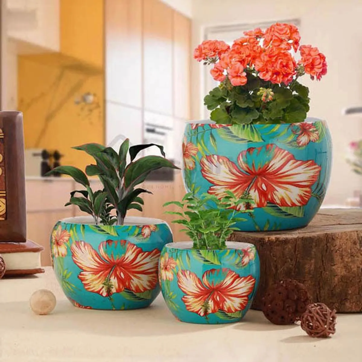 Set of three blue planters with red hibiscus floral pattern on a tabletop