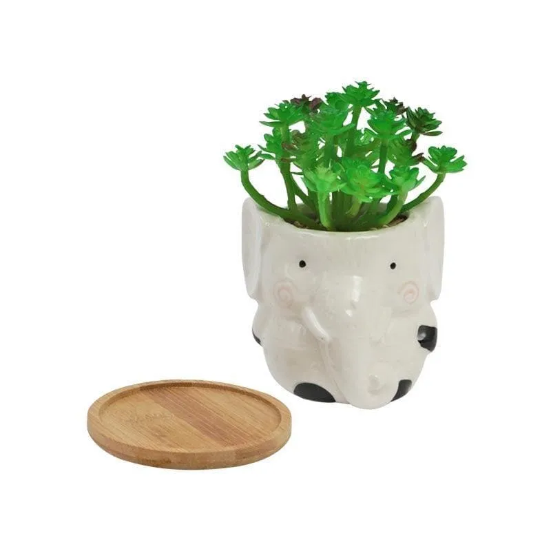 Faux Crassula In Elephant Face Pot - 17.5 cms media 3