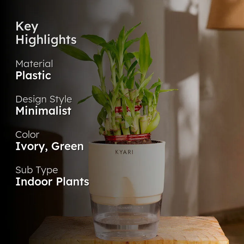 Kyari Bamboo 2 Layer With Self Watering Pot - Ivory media 2