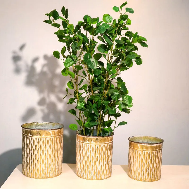 Aurora Metal Planters - Set Of Three media 3