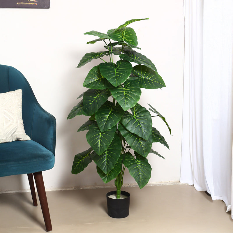 Verdiq Artificial Alocasia With Black Plastic Pot - 4 Feet media 3