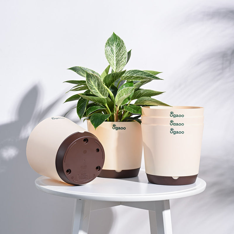 Ugaoo Mossy Bottom Plastic Planter (Peach) - Set Of Five media 2