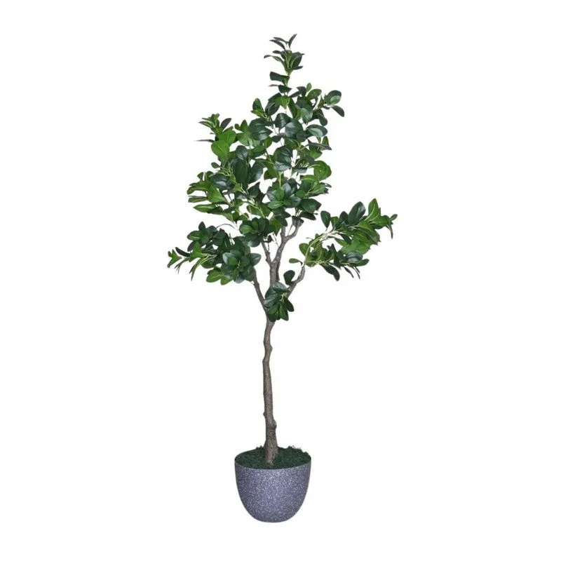 Artificial Peperomia Plant Without Pot - 5.9 Feet media 6