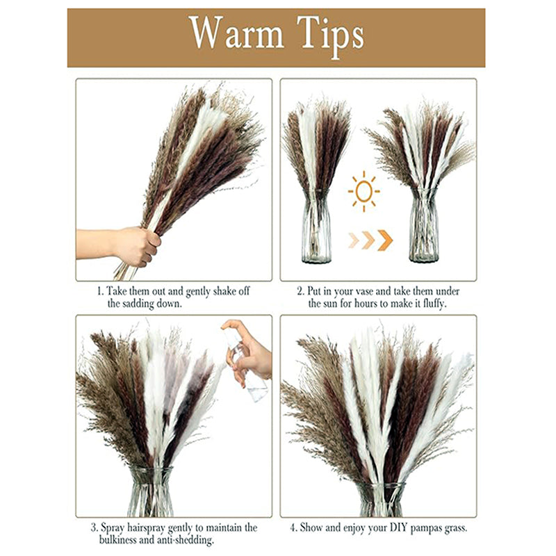 Wander Wisp Dried Pampas Stem (White) - Set Of Ten media 4