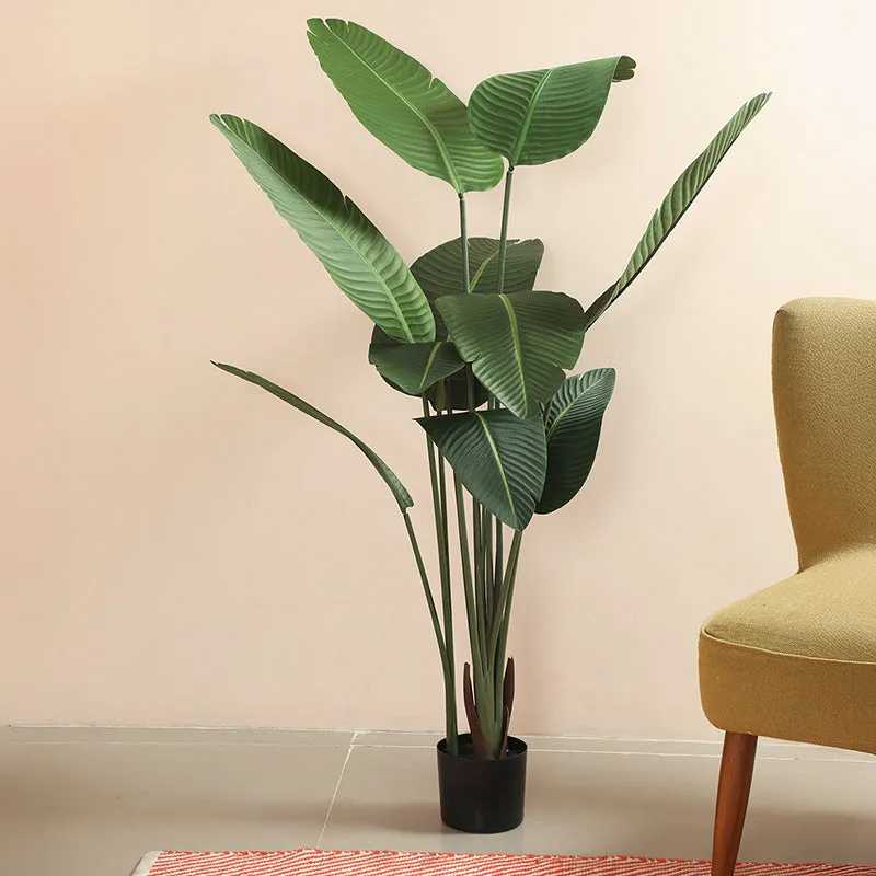 Bale Artificial Banana Plant With Black Plastic Pot - 5.3 Feet media 3