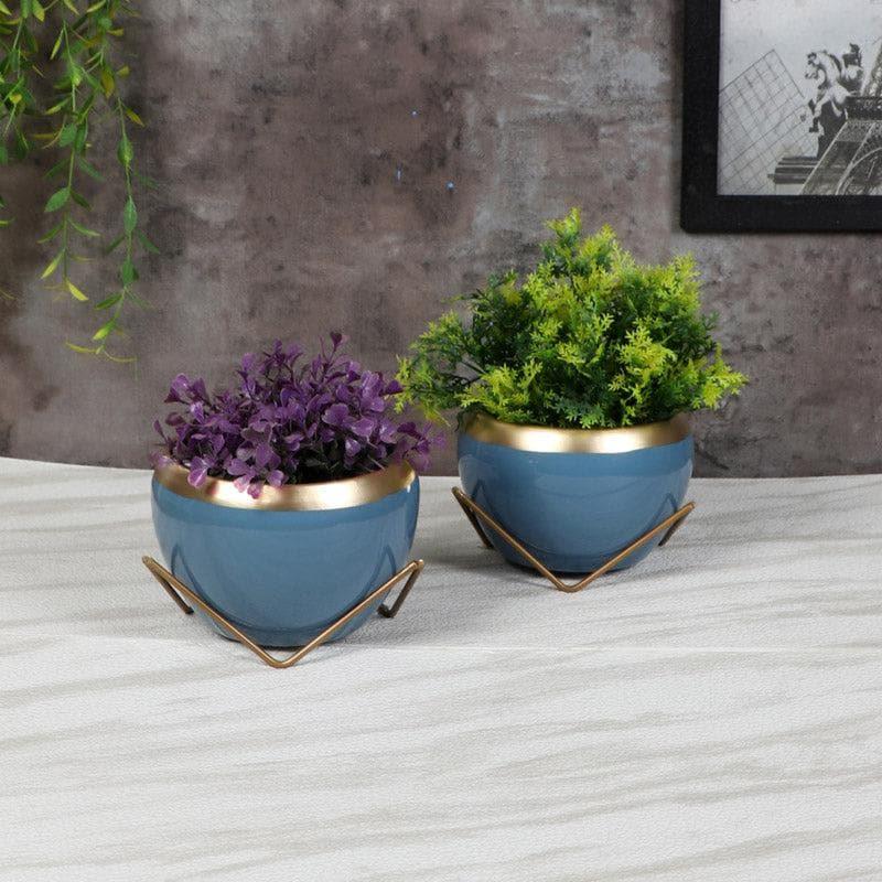 Guja Apple Planter (Blue) - Set Of Two media 3