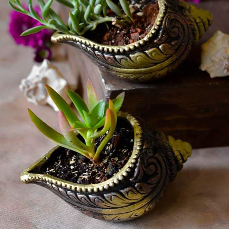Terrapod Terracotta Planter - Set Of Two media 5