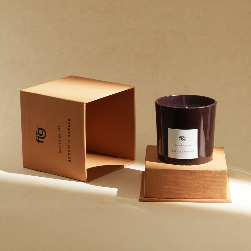 Fig Living Coastal Escape Scented Candle - Mandarin Orange, Jasmine, Musk & Sandalwood media 12