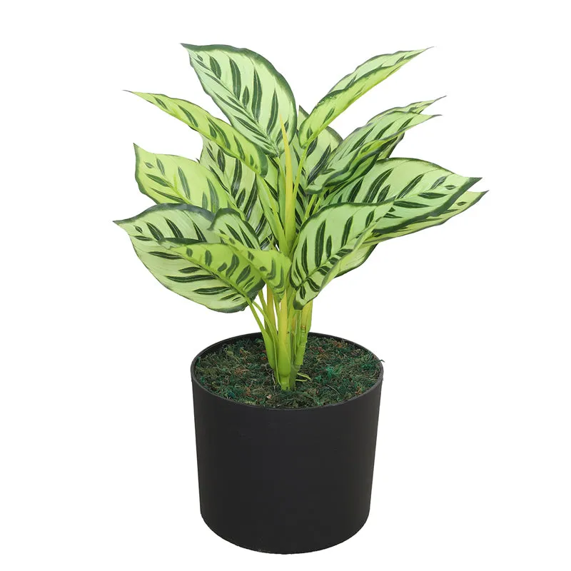 Green Spirit Artificial Plant With Black Plastic Pot media 3