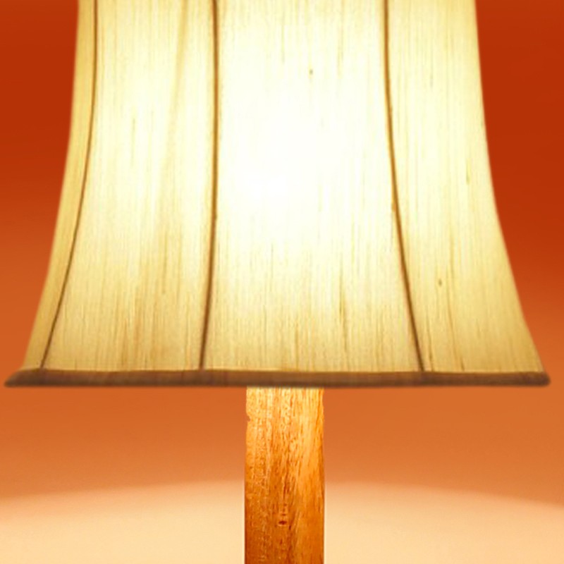 OpalRise Floor Lamp media 6