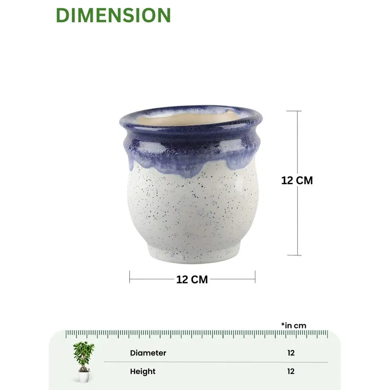 VelourVista Pots Blue,White - Set Of Two media 11