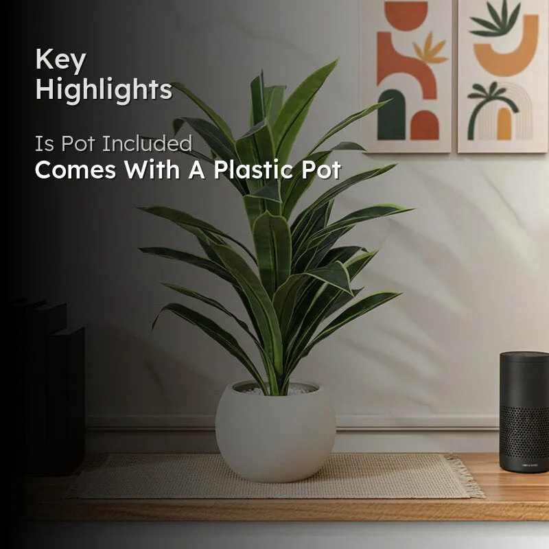 Danae Artificial Dracaena Plant With Black Plastic Pot - 2.8 Feet media 2