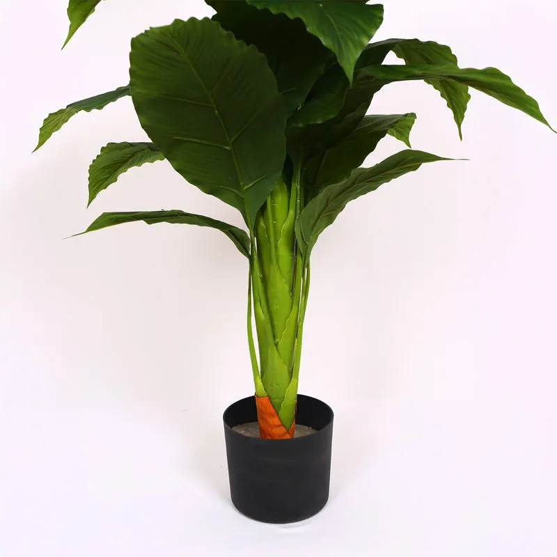 Evena Artificial Spathe Plant With Black Plastic Pot media 6