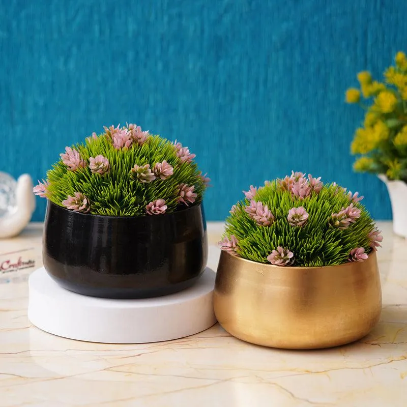 Velcoma Planter media 2