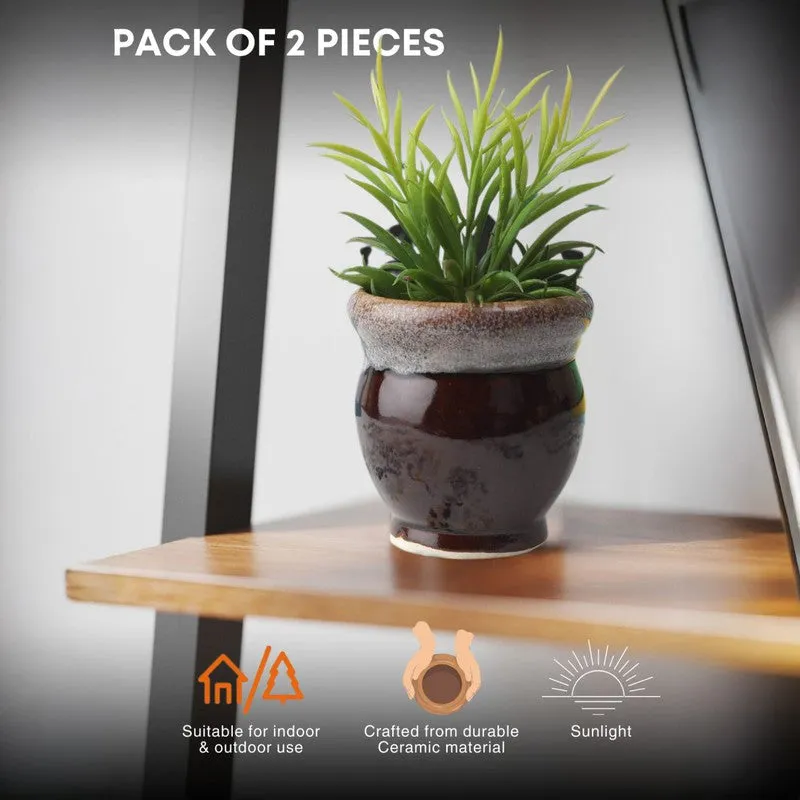 OpulentLeaf Ceramic Planters - Set Of Two media 8