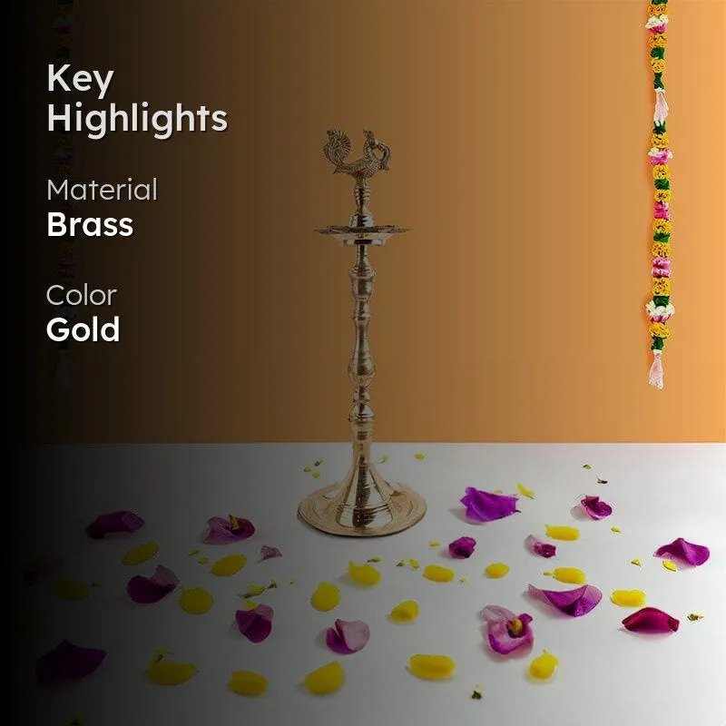 Heritage Mayur Brass Lamp media 2