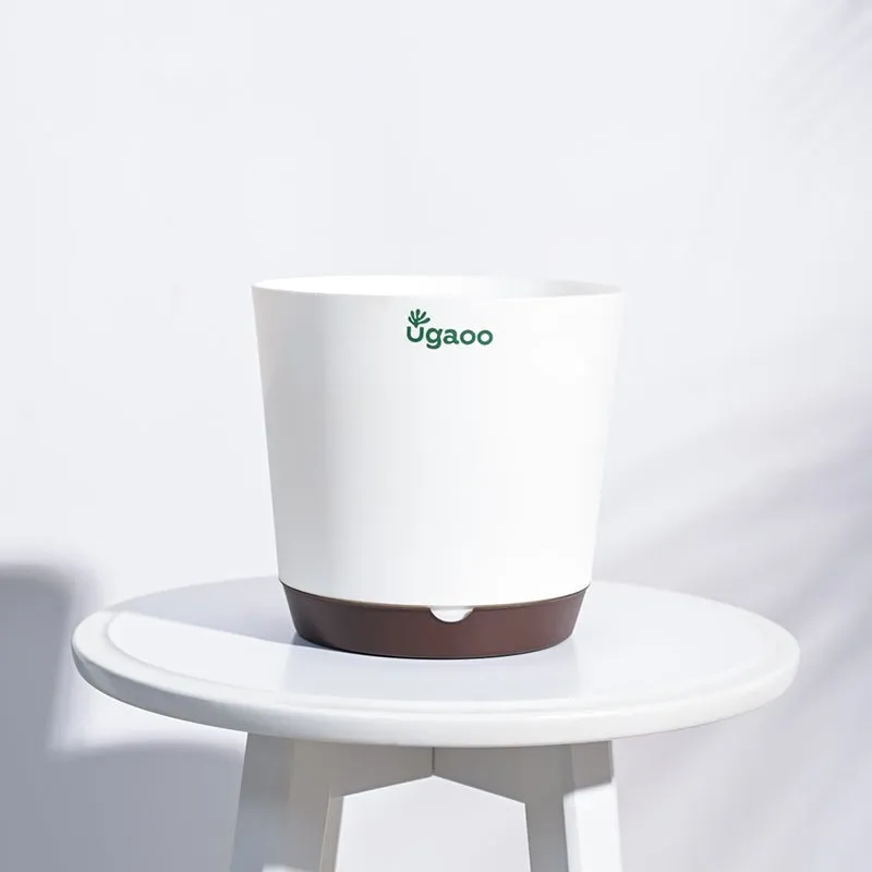 Ugaoo Mossy Bottom Plastic Planter (White) - Set Of Five media 4