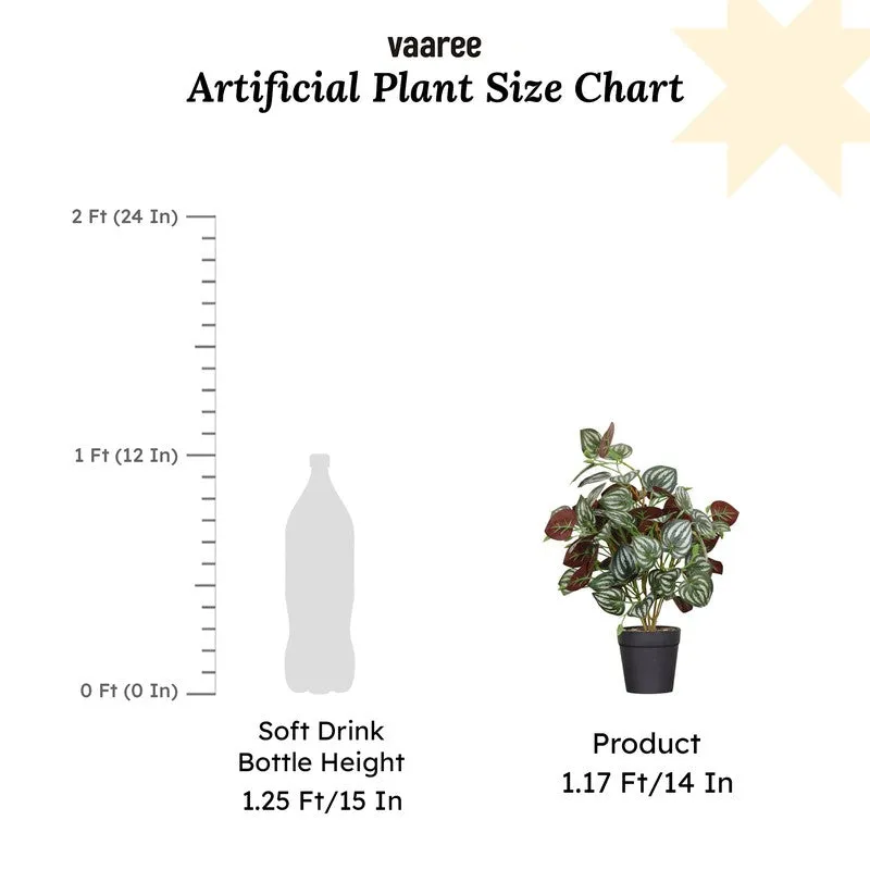Artificial Red Peperomia Leaf Plant With Black Fiber Pot - 1 Feet media 7