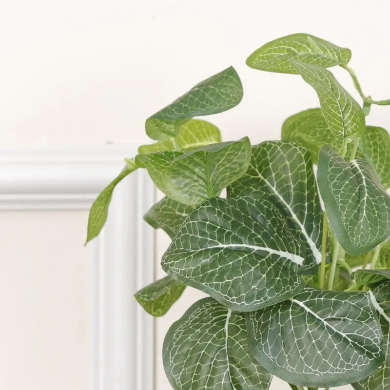 Artificial Fittonia Leaf Plant With Black Fiber Pot - 0.9 Feet media 6