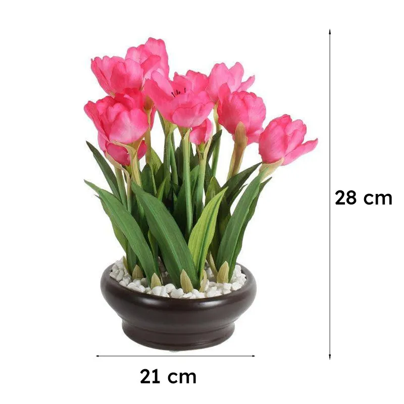 Faux Artificial Tulip Bonsai In Ceramic Pot (26 cms) - Dark Pink media 5