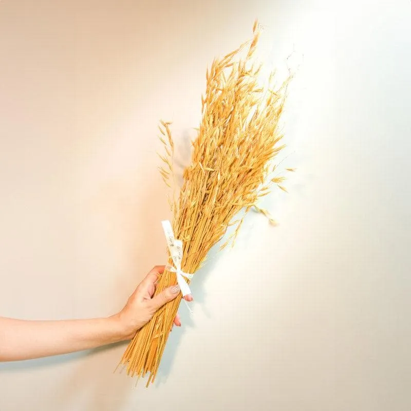 Naturally Dried Oats Millet Grass Stems (Beige)- Set Of Fifty media 4