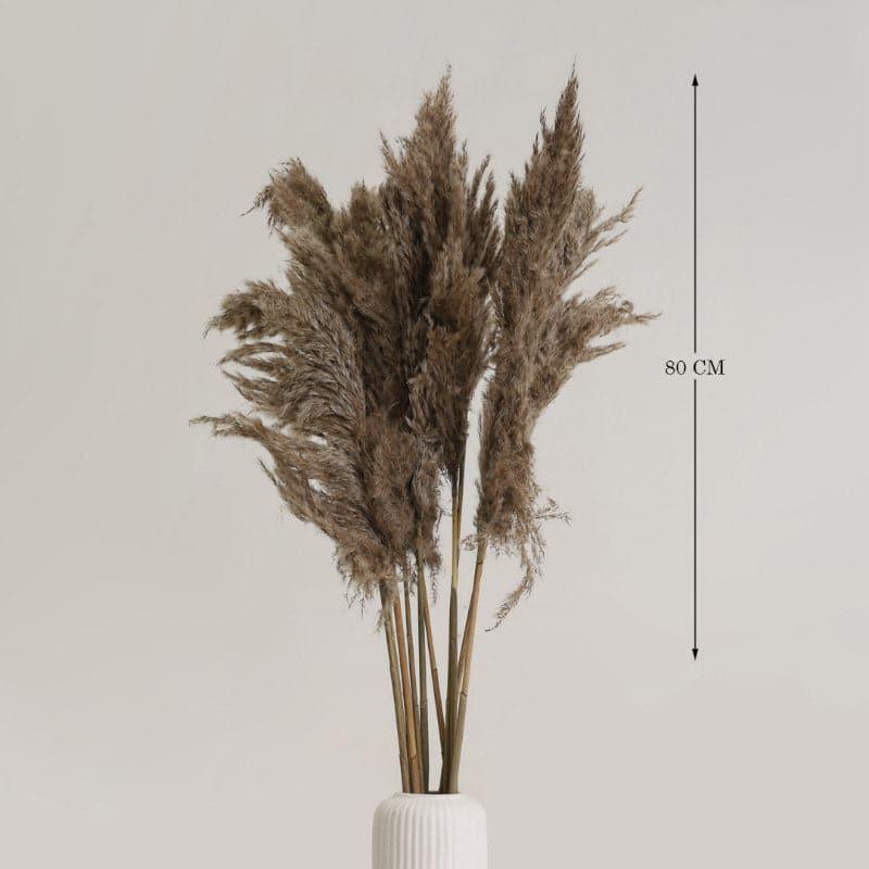 (Light Brown) Puffy Pampass Stems (2.62 ft) - Set Of Five media 4