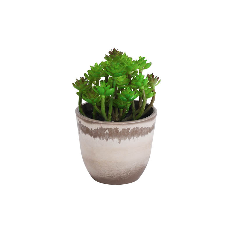 Artificial Mini Succulent With Pot - Set Of Three media 3