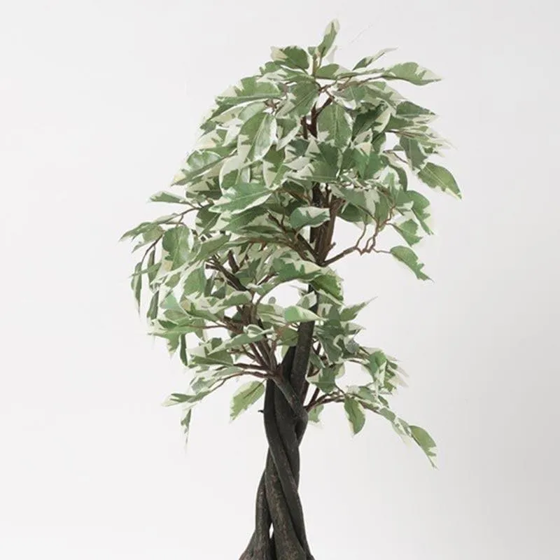 Faux Tall Ficus Bonsai (55 cms) - Green & White media 3