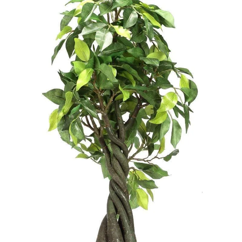 Faux Tall Ficus Bonsai (55 cms) - Green media 3